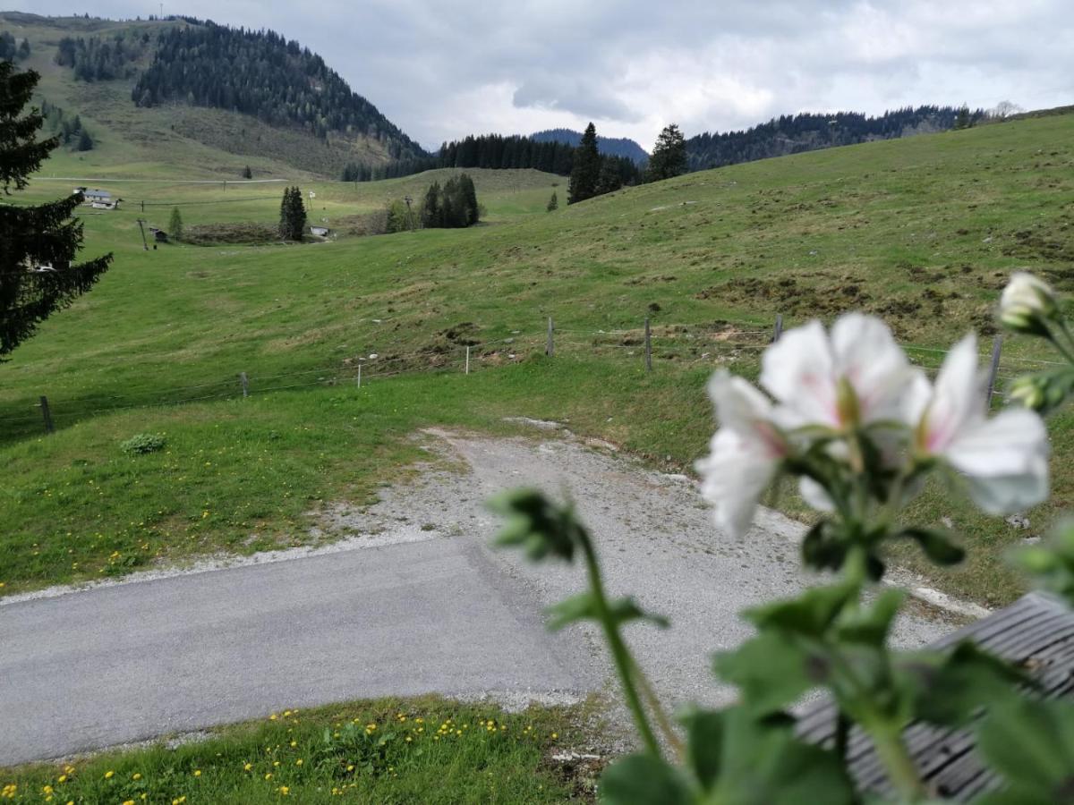 Aparthotel Haus Obweg - Postalm Hallein Esterno foto