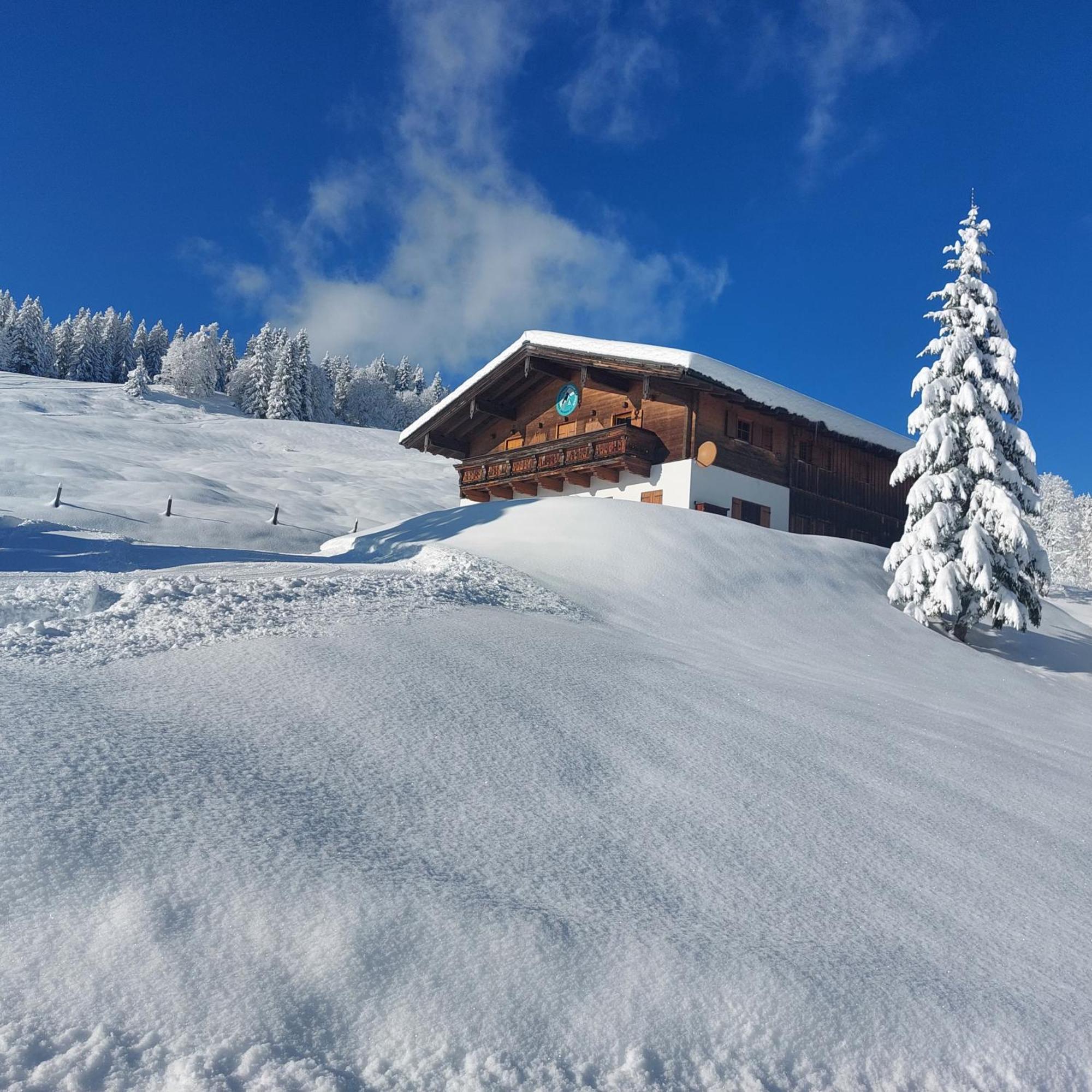 Aparthotel Haus Obweg - Postalm Hallein Esterno foto